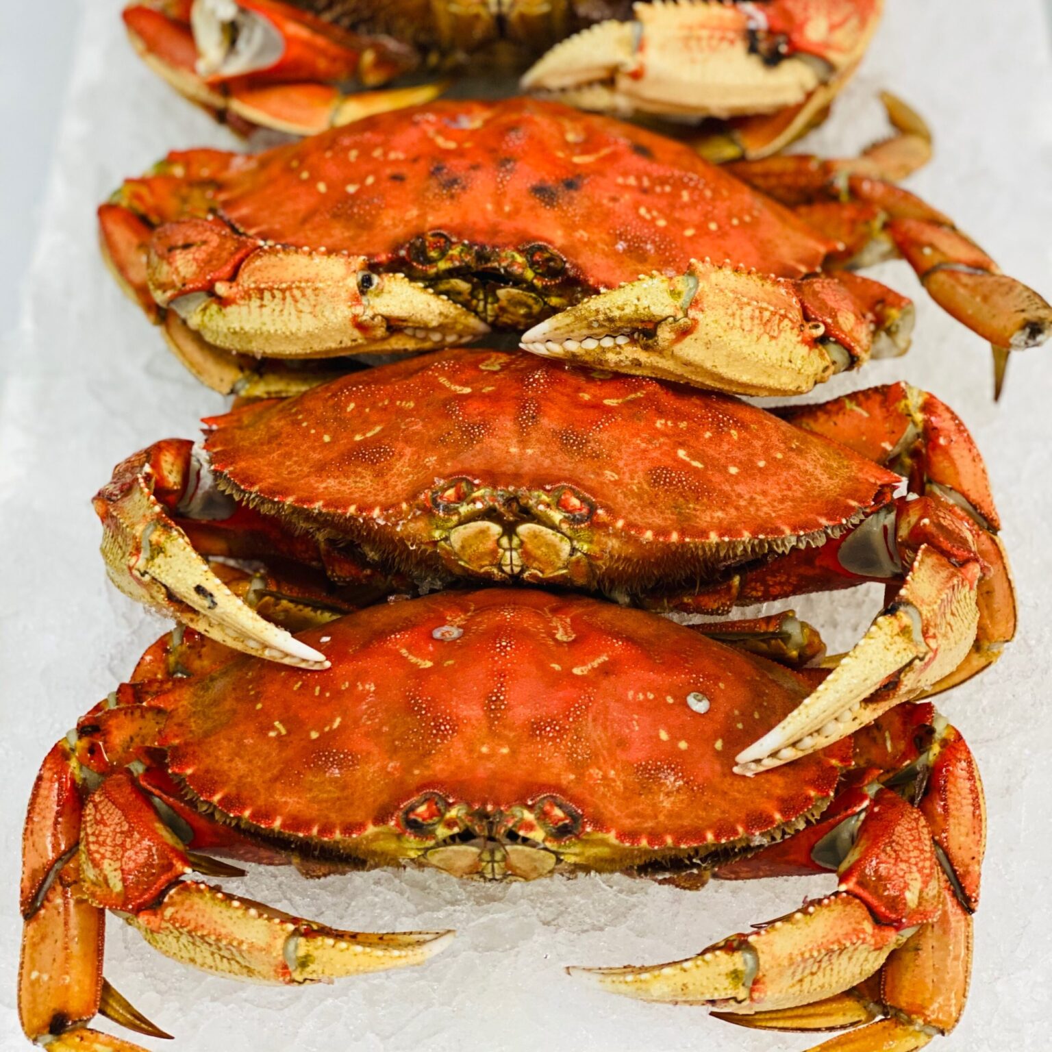 Crab - Highland Fish Market